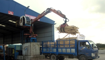 Nhà máy sản xuất gỗ tại Quảng Nam
