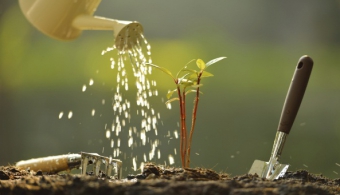 Plant A Tree Campaign
