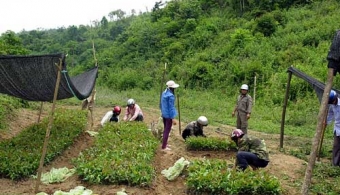 Updated rental land area and afforestation progress as of the 01st March 2010