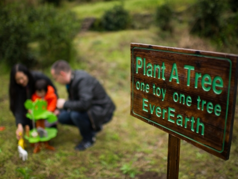 Plant a Tree